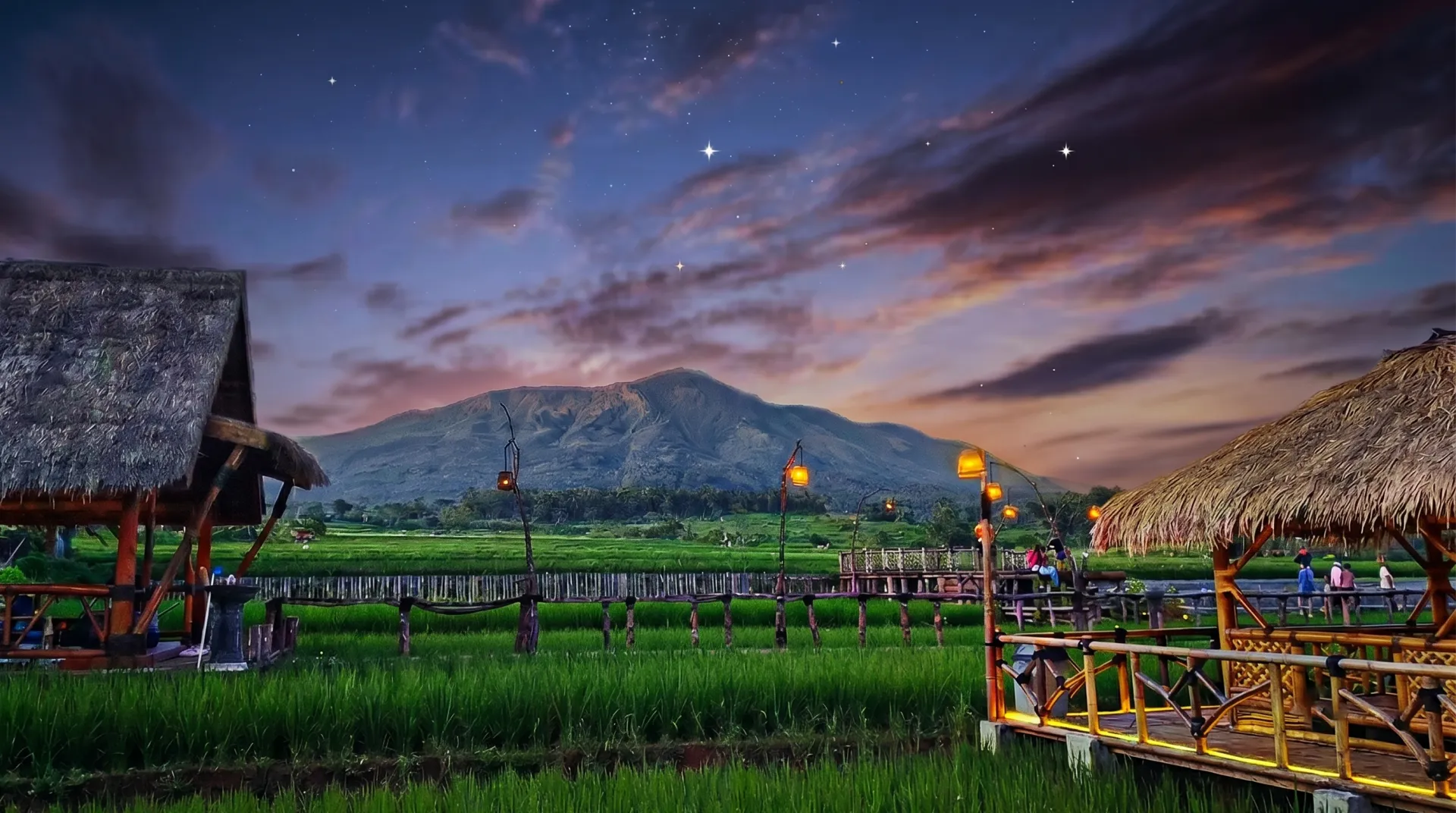 Suasana Pucuk Pare